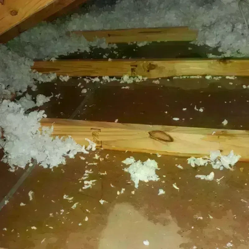 Attic Water Damage in Westby, WI