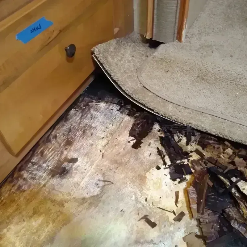 Wood Floor Water Damage in Westby, WI